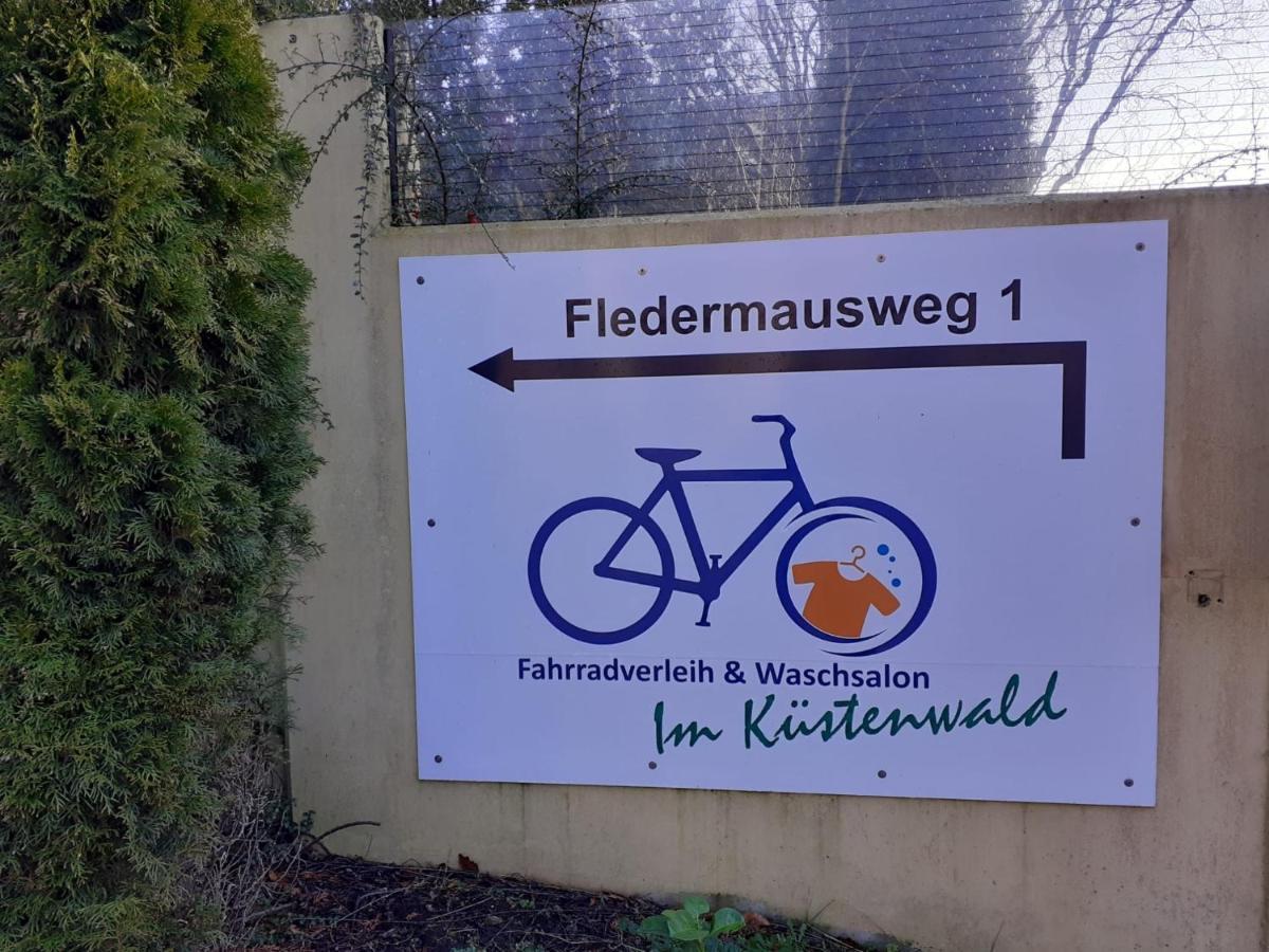 Moewengruss An Der Ostsee Gelbensande Buitenkant foto