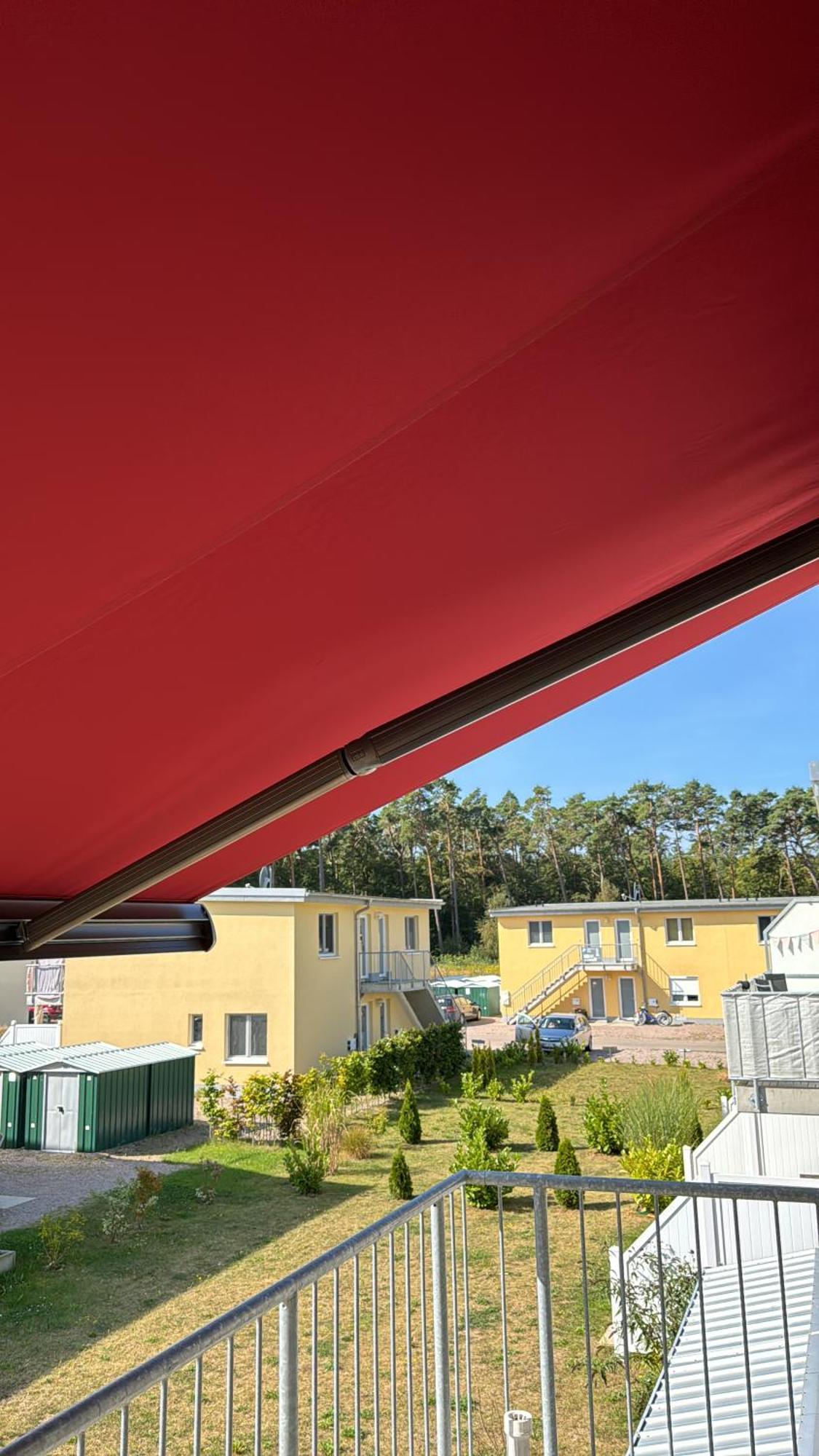 Moewengruss An Der Ostsee Gelbensande Buitenkant foto